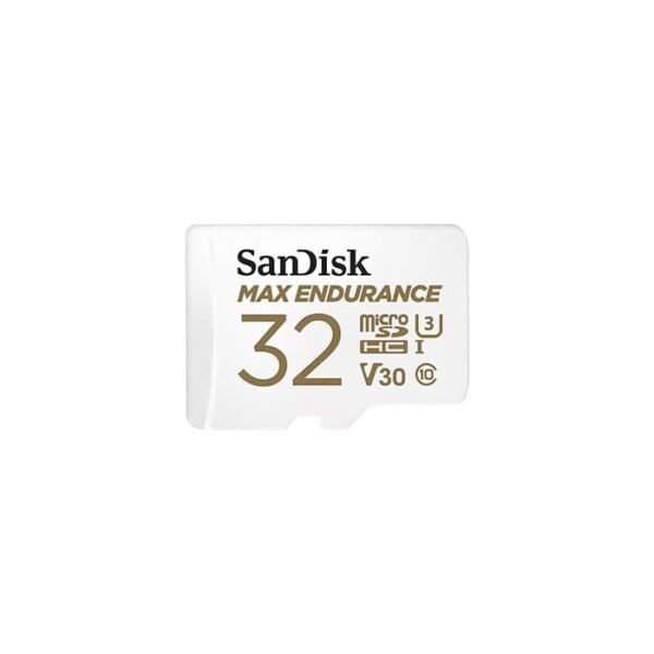sandisk max endurance 1.jpg
